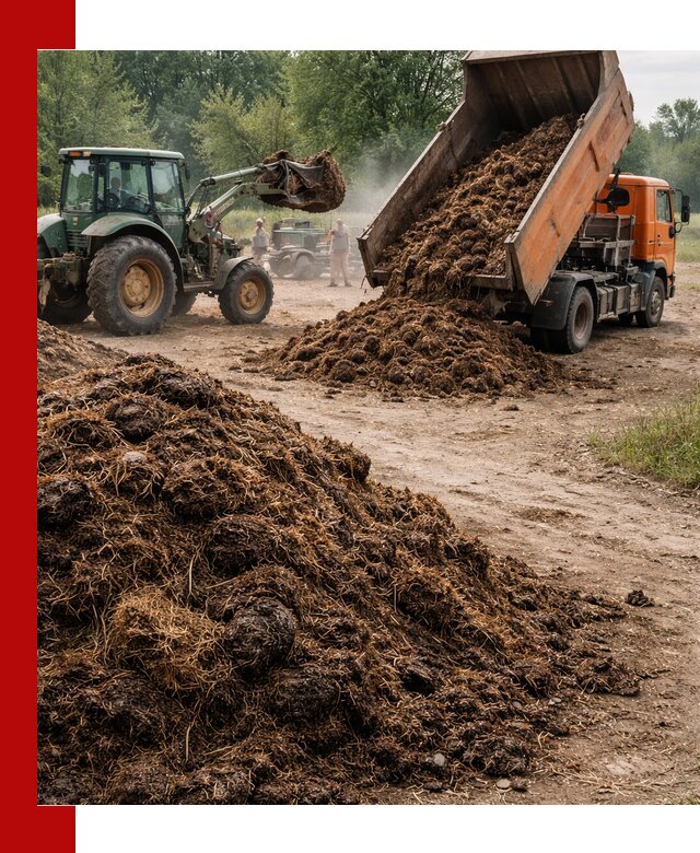 Доставка навоза самосвалами в Россоши для сельхозпотребностей